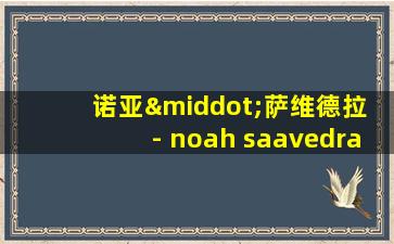 诺亚·萨维德拉 - noah saavedra